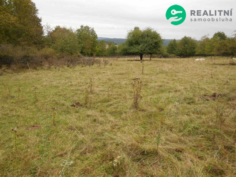 Stavební pozemek Poloučany 2000 m² - 2