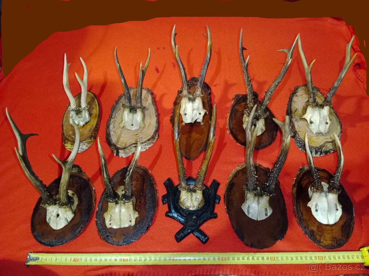 Myslivecké paroží + klobouk - 2