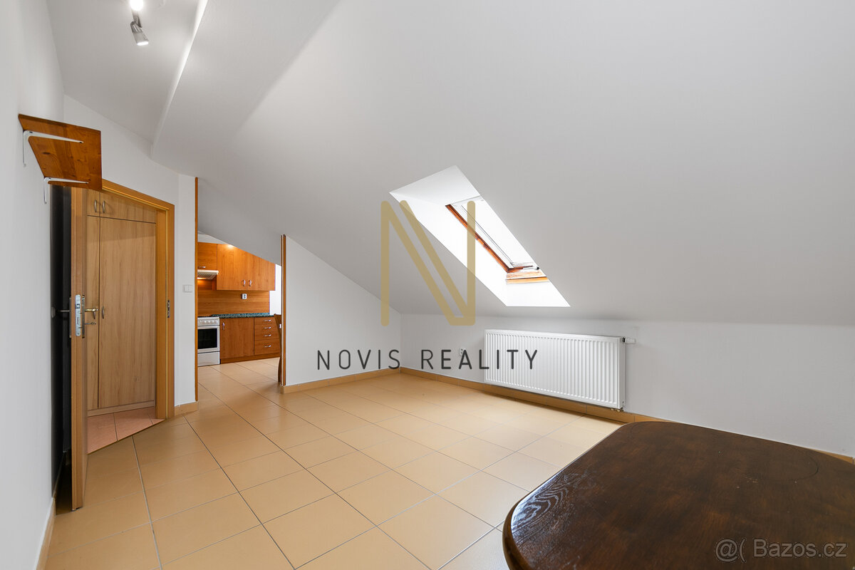 Nájem, byt, 1+1, 51 m², Čižická, Štěnovice - 2
