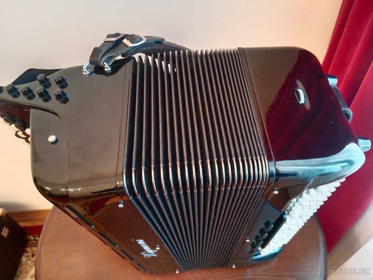 Akordeon Vignioni Cassotto manual bass - 2