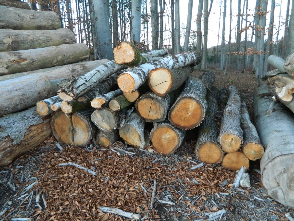 Palivové dřevo tvrdé - 2