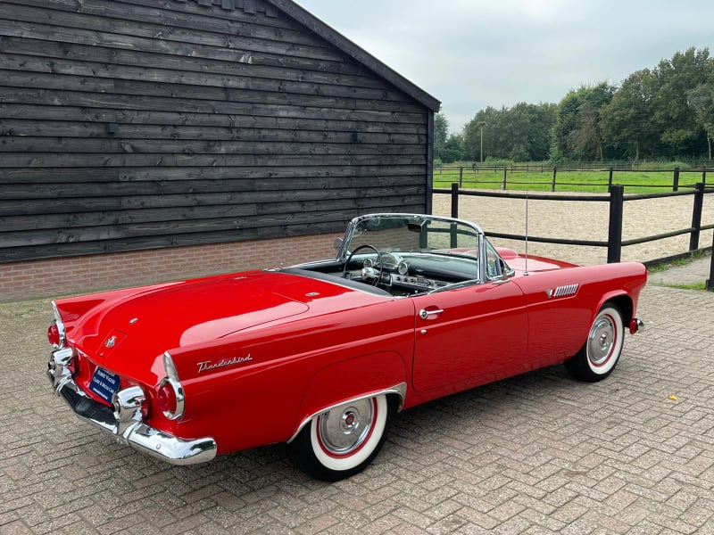 Ford Thunderbird r.v.1955 - 2