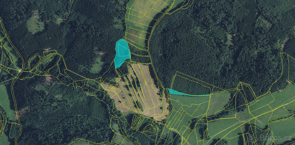 Prodej, les, 11901m2, Drozdov - 2