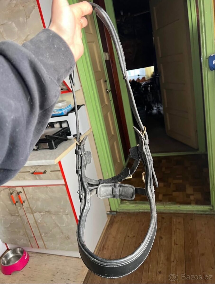 Bezudidlova uzdecka - 2