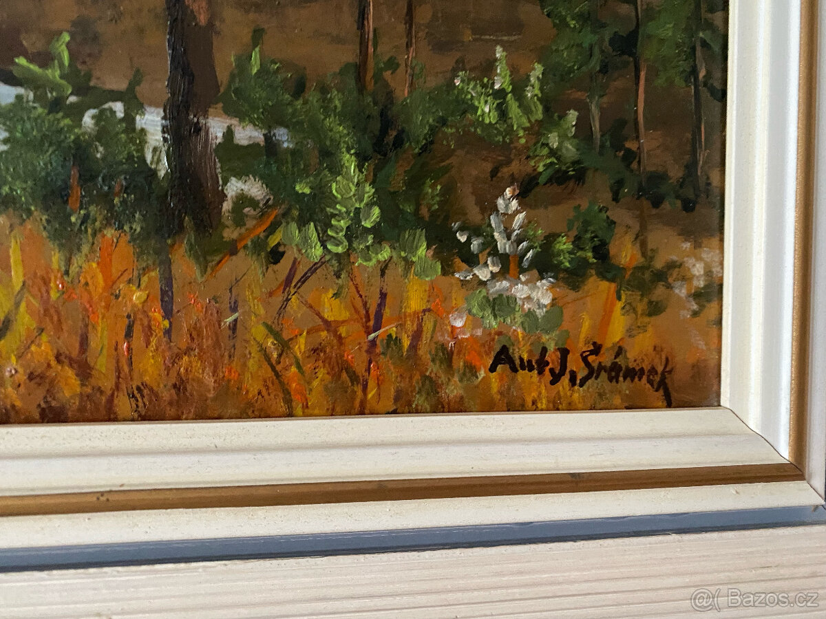 Obraz krajiny - 2