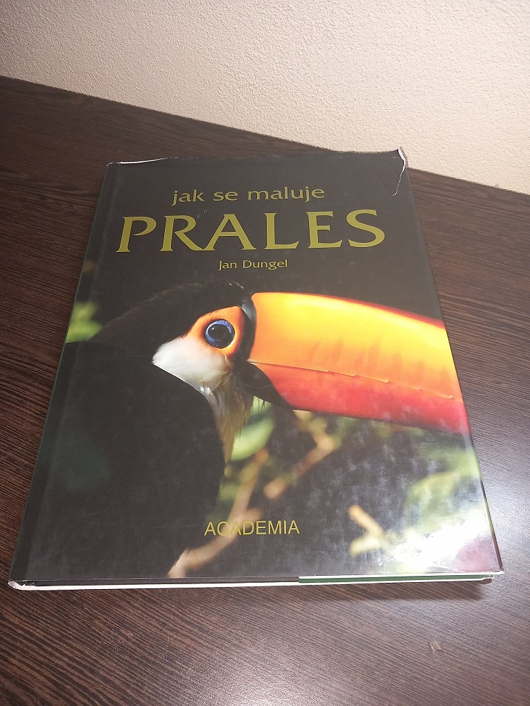 Jak se maluje prales - 2