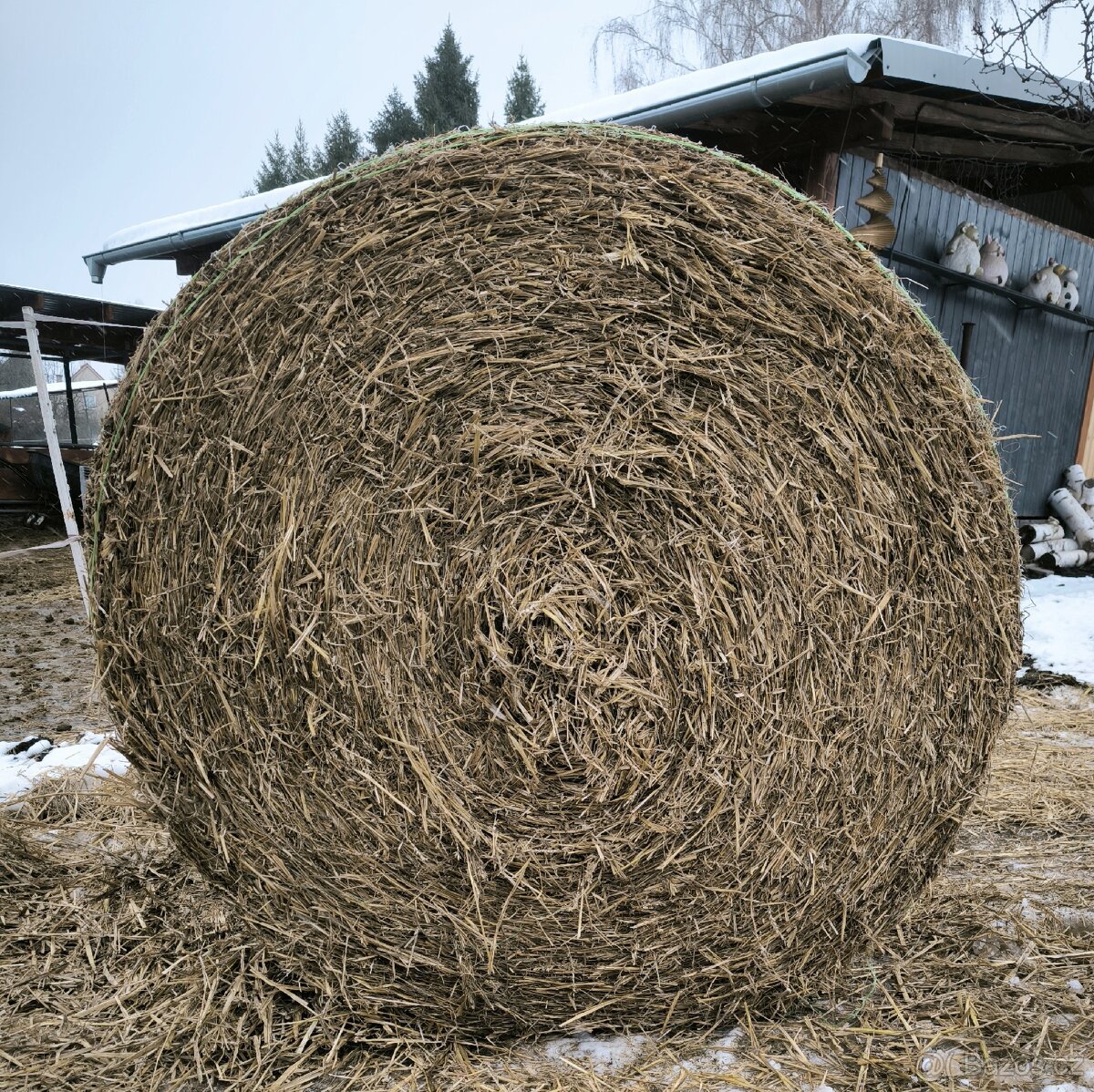 Pšeničná sláma - 2