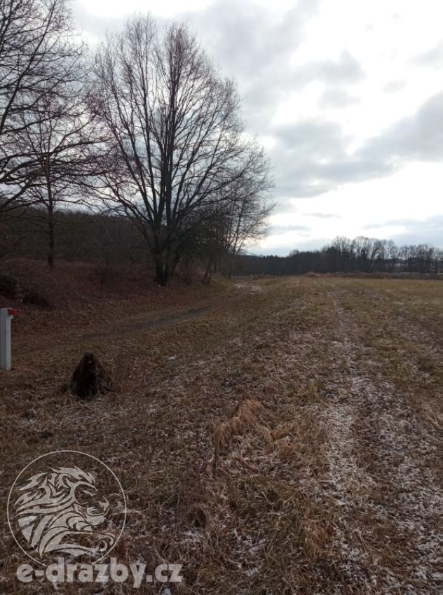 Pozemky o výměře 4609 m2, k.ú. a obci Janovice nad Úhlavou,  - 2
