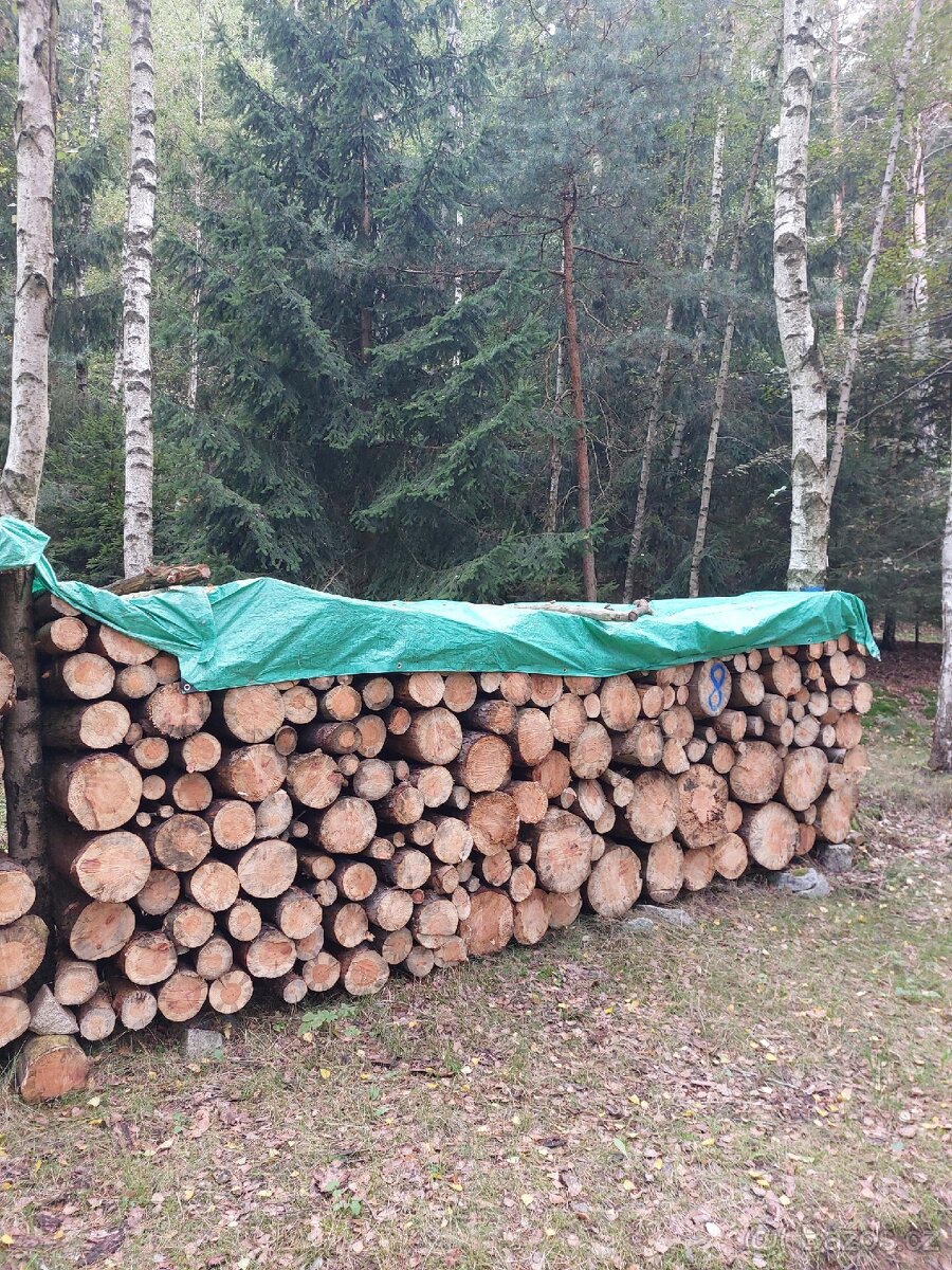 Palivové dřevo "suché" - 2