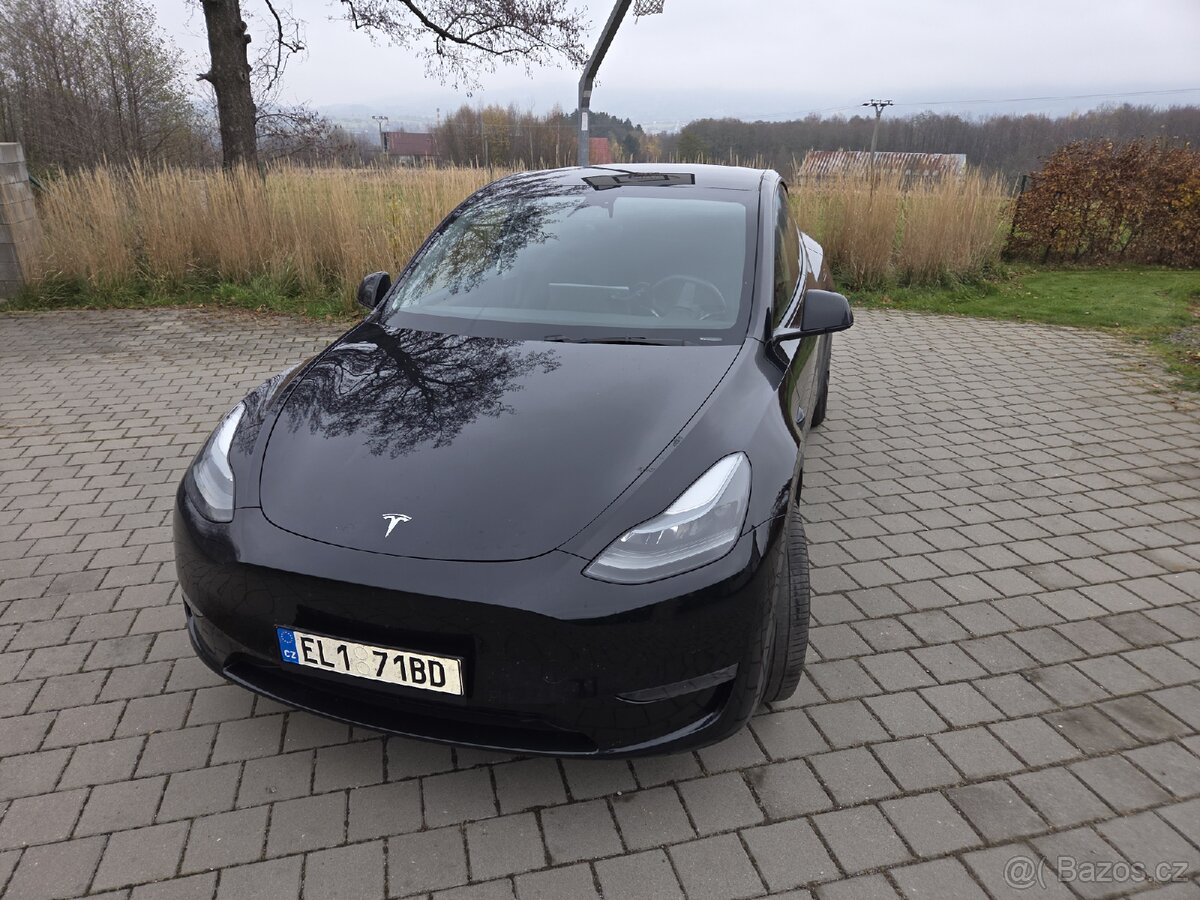 Tesla model Y performance - 2