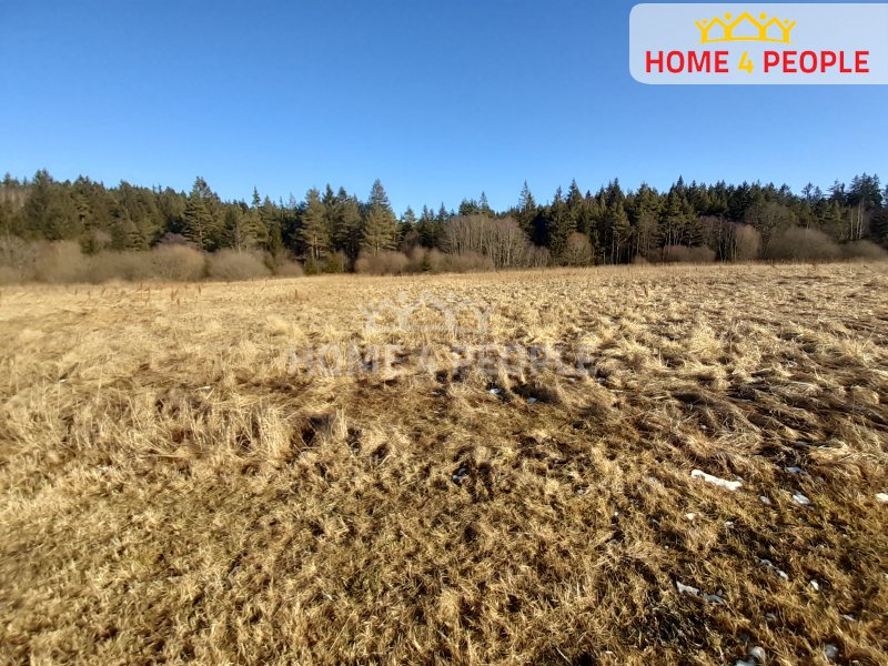 Prodej Pozemku o rozloze 11.835 m2 v obci Černá v Pošumaví. - 2