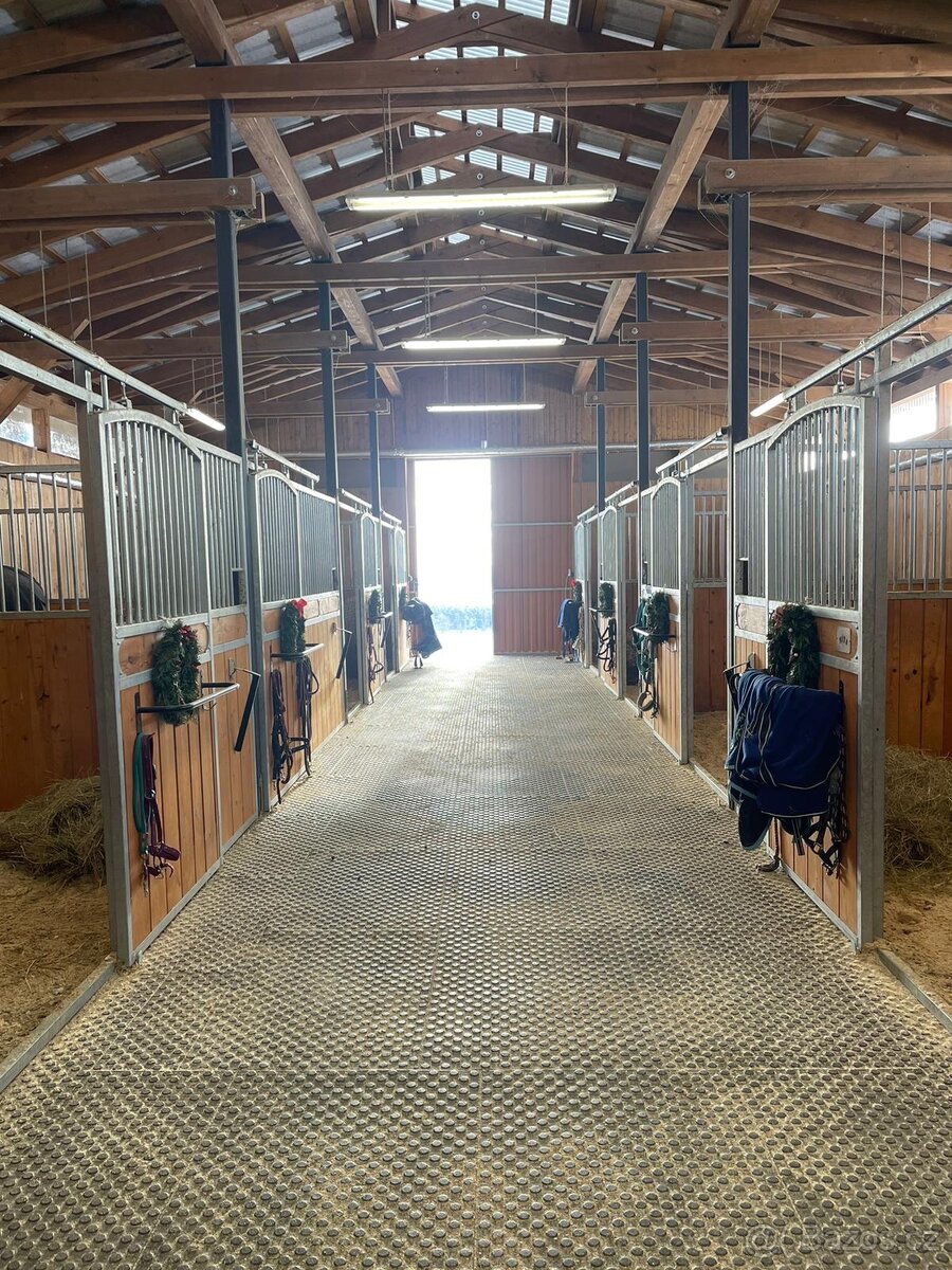 Ustájení Rožmitál pod Třemšínem (Příbram) - 2