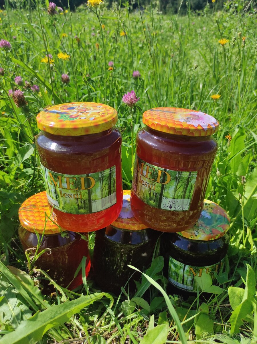 Včelí med květový,lesní,květový ,pastovaný - 2