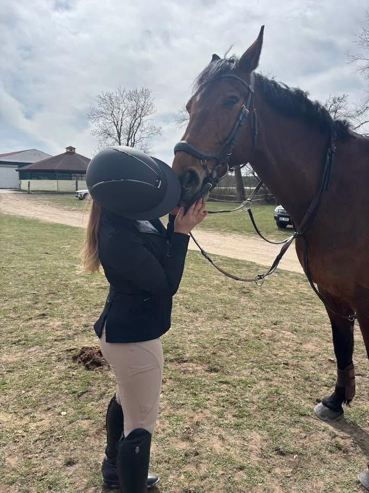 Prodám charakterního valacha - 2