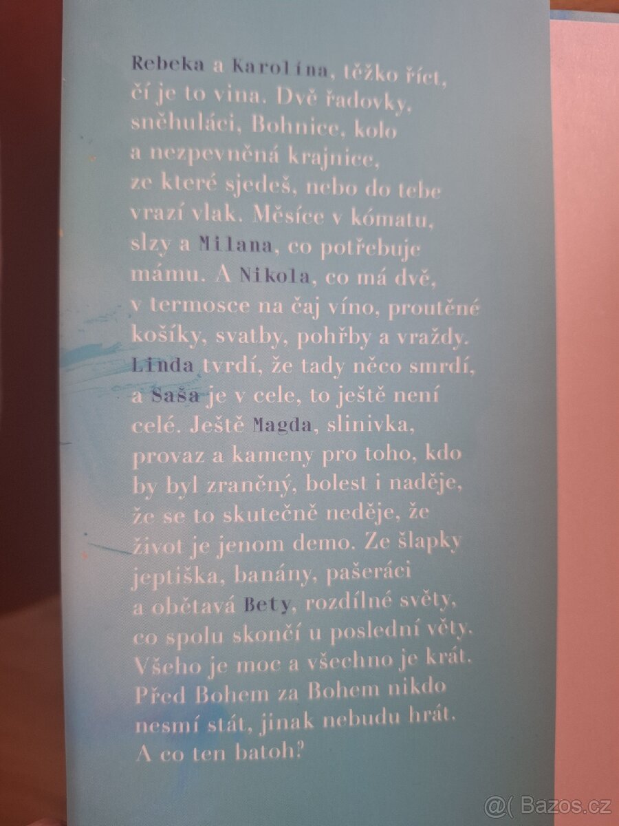 Kniha od Radky Třeštíkové Bábovky na konci světa - 2