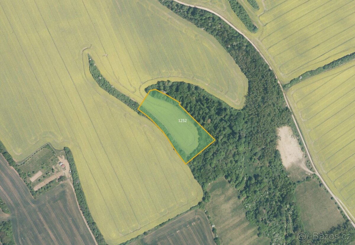 Zemědělská půda, prodej, Traplice, Uherské Hradiště - 2