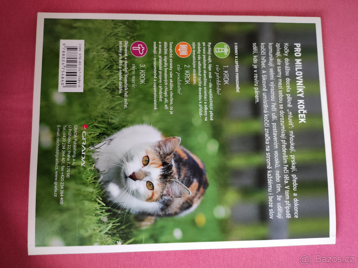 Snazime se porozumet kocce - 2