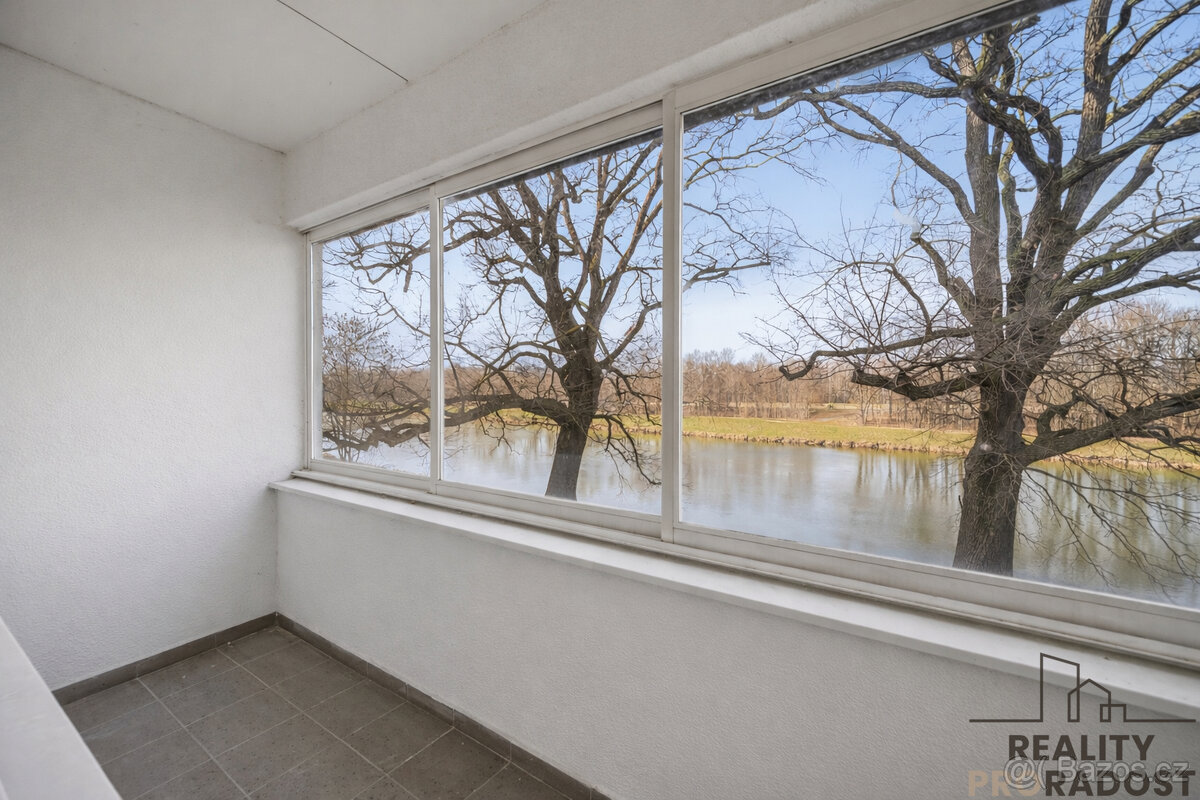 Pronájem bytu, 1+kk, Pardubice - 2