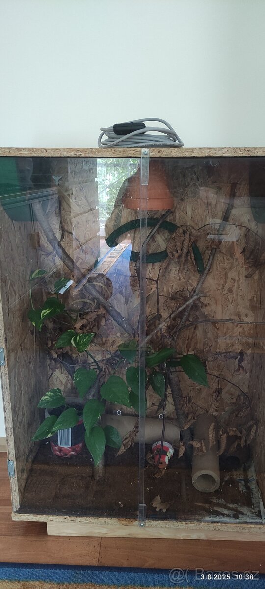 Prodám terárium - 2
