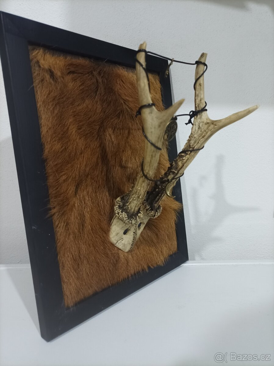 Interaktivní rámeček - Dar lesa - 2