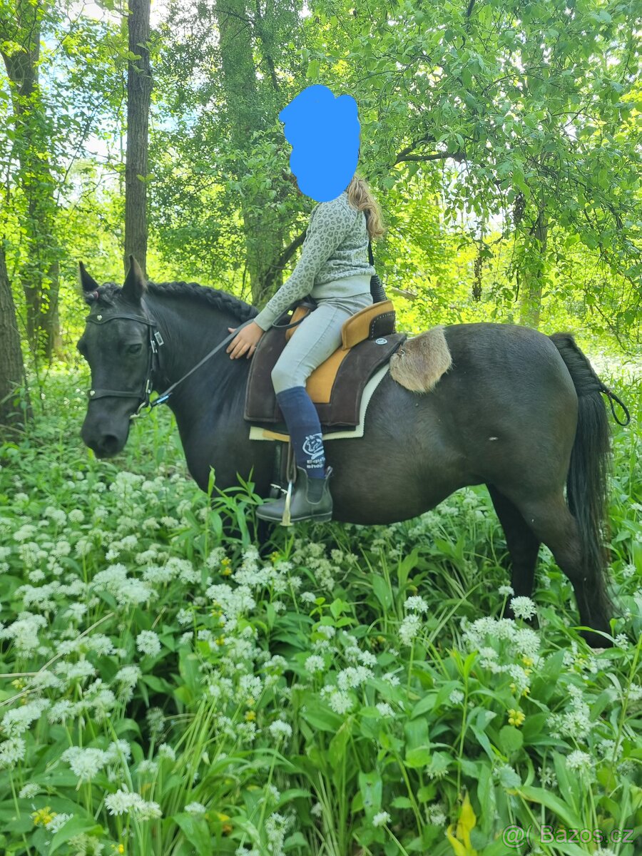 Sedlo Orx dětské bezkostra - 2