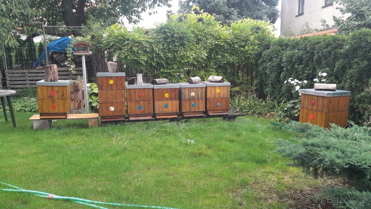 Prodám vyzimovaná včelstva - 2