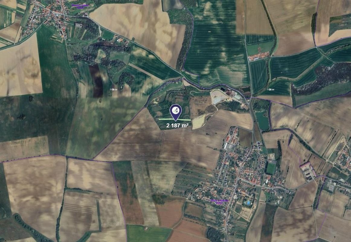 Prodej louky v k.ú. Těmice u Hodonína - 2