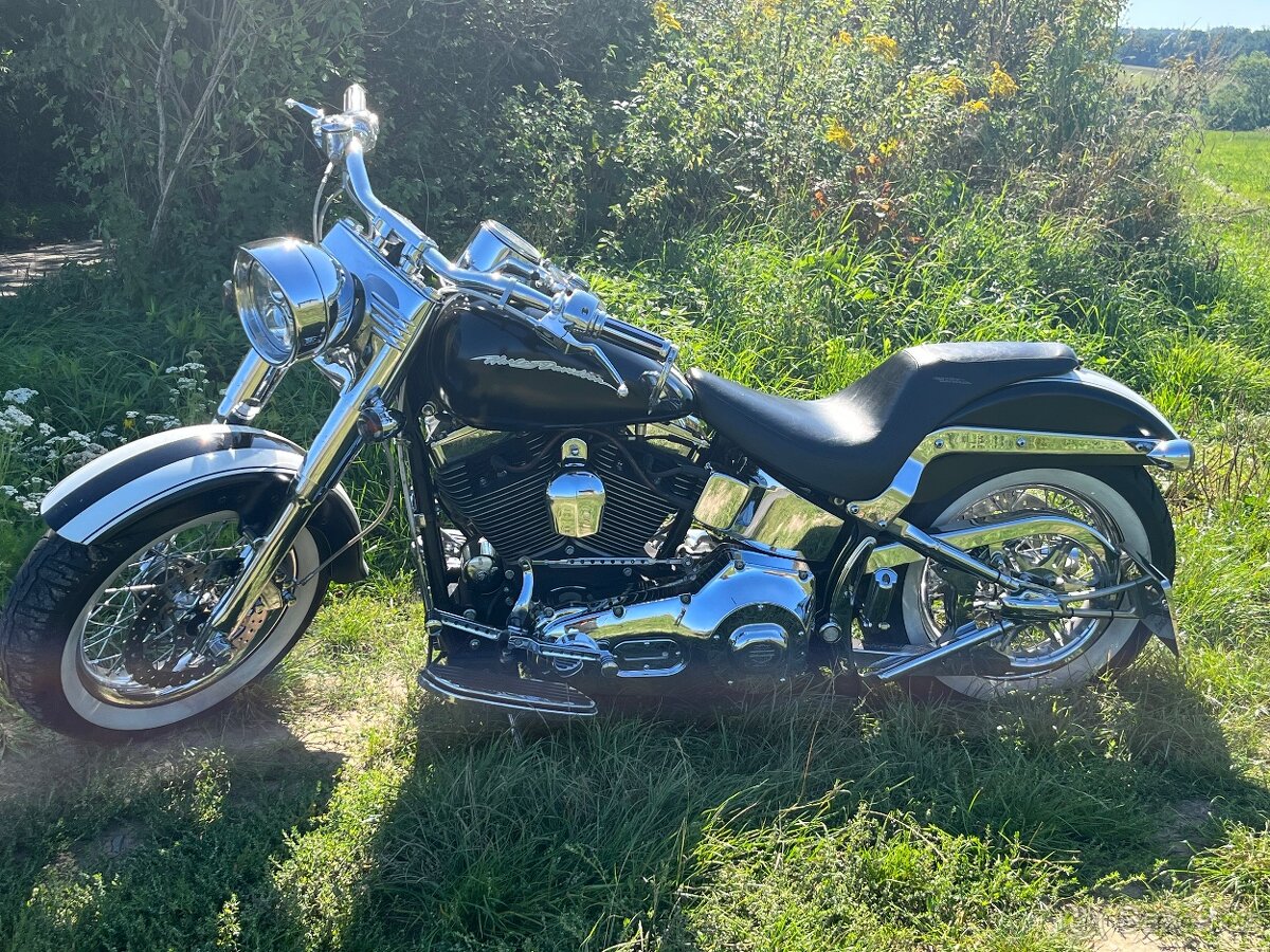 Harley Davidson Fat Boy- prodám - 2