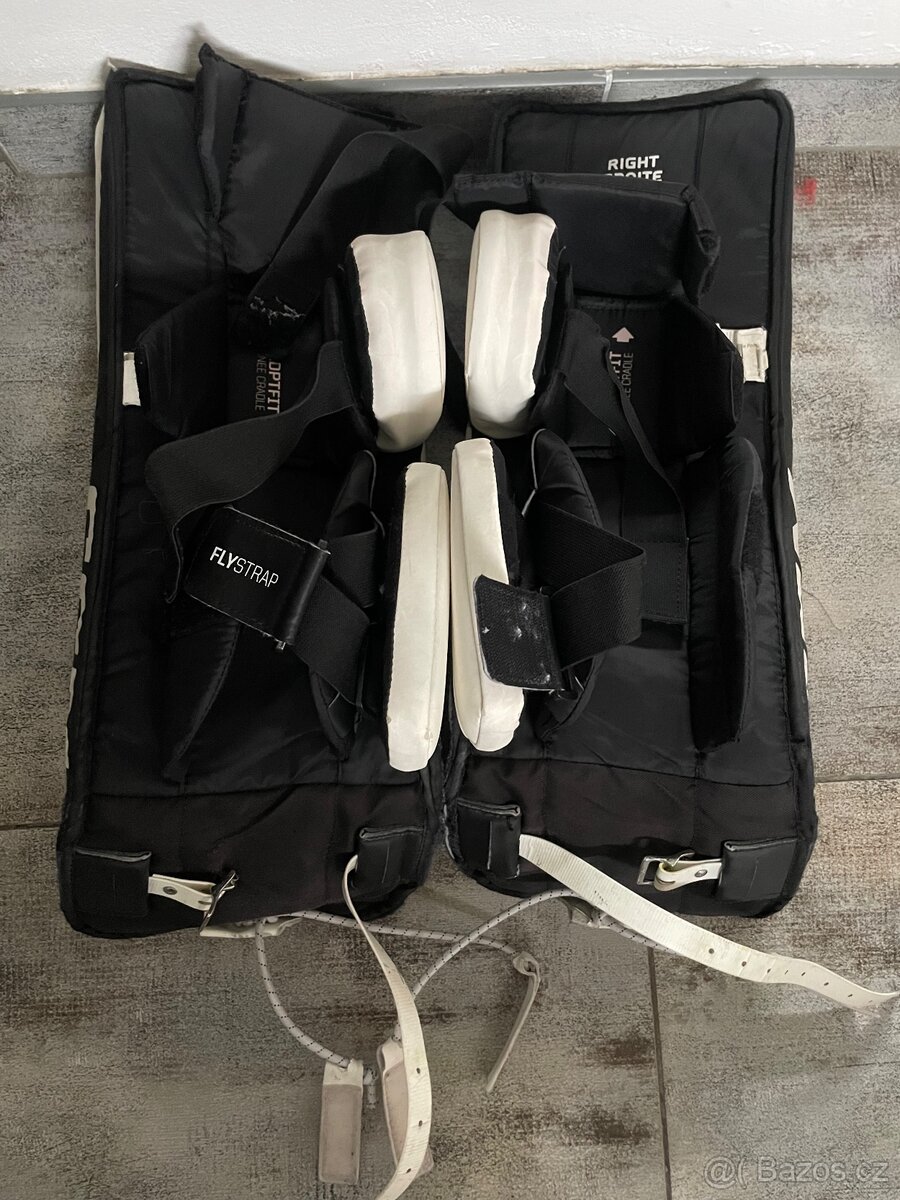 Betony ccm 24 - 2