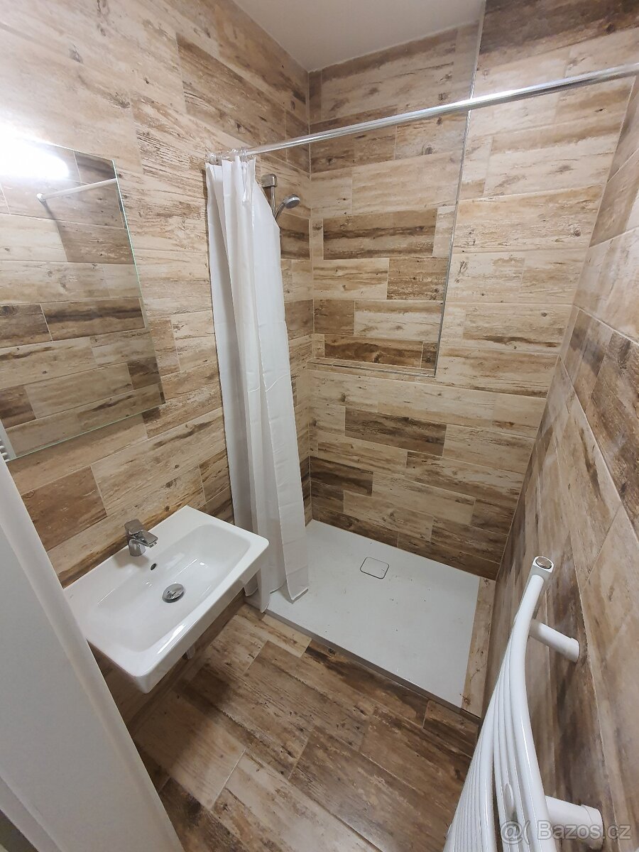 2+1 Plzeň-Bory za 16.000 Kč + spotřeba - 2