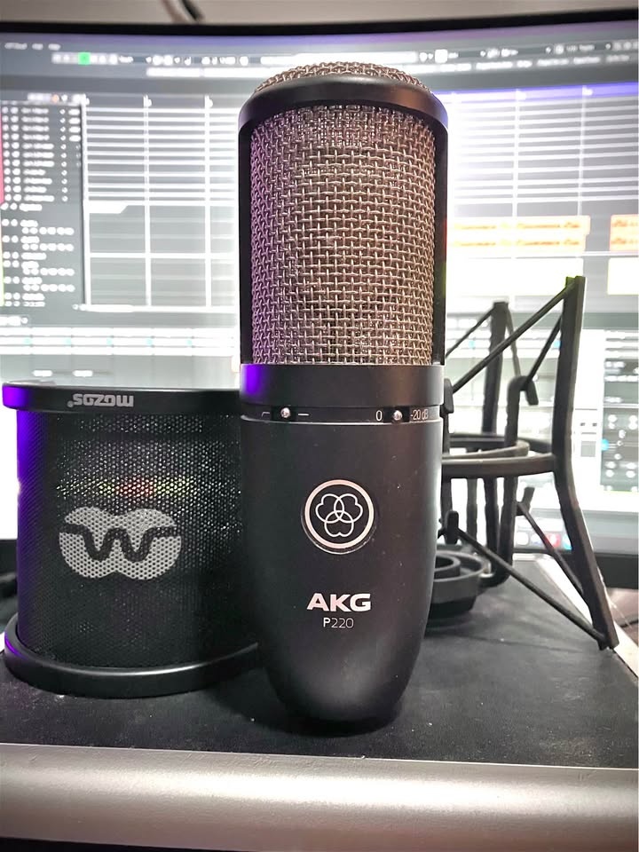 Studiový kondenzátorový mikrofon AKG P220 + Držák + popfiltr - 2