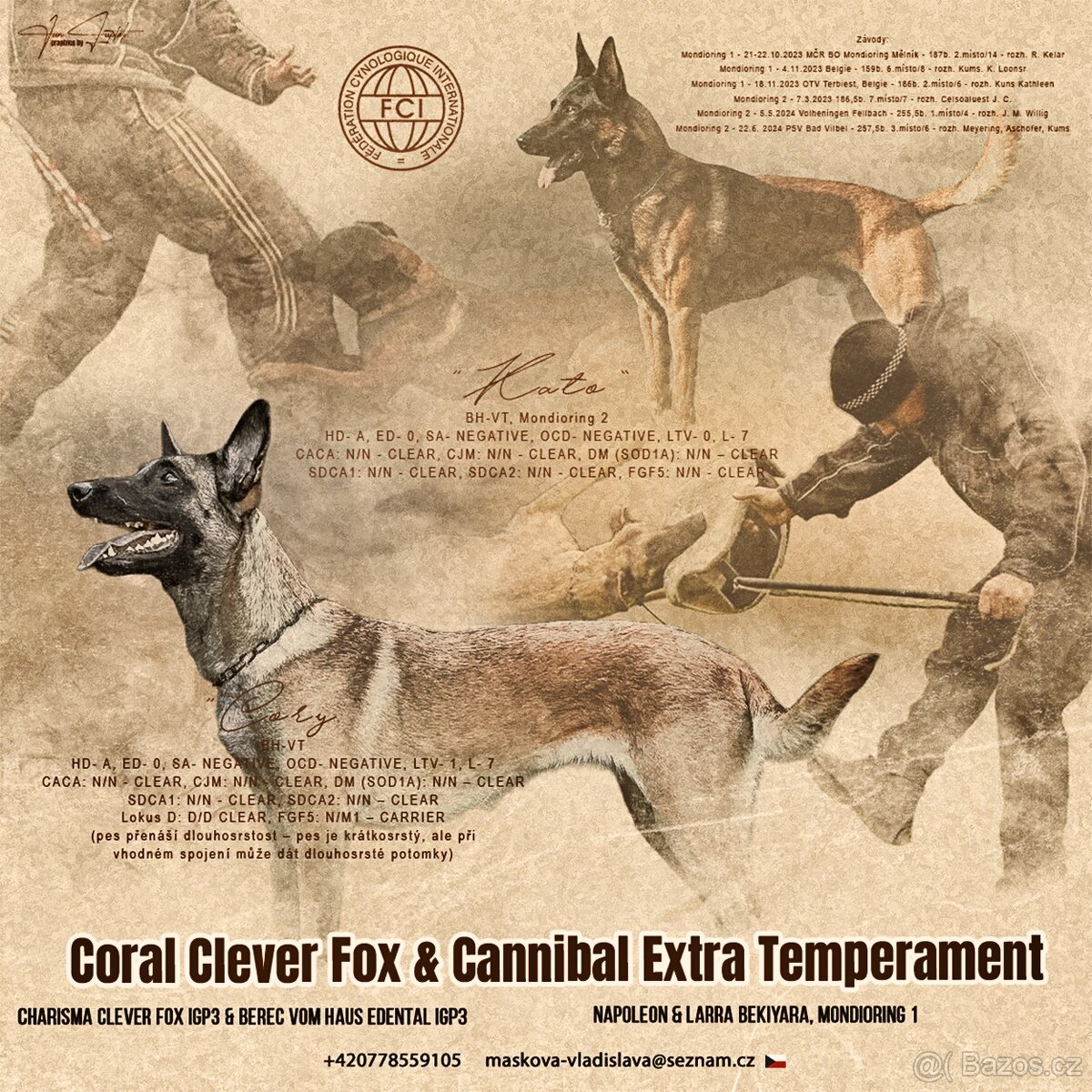 Belgický ovčák Malinois s PP - 2