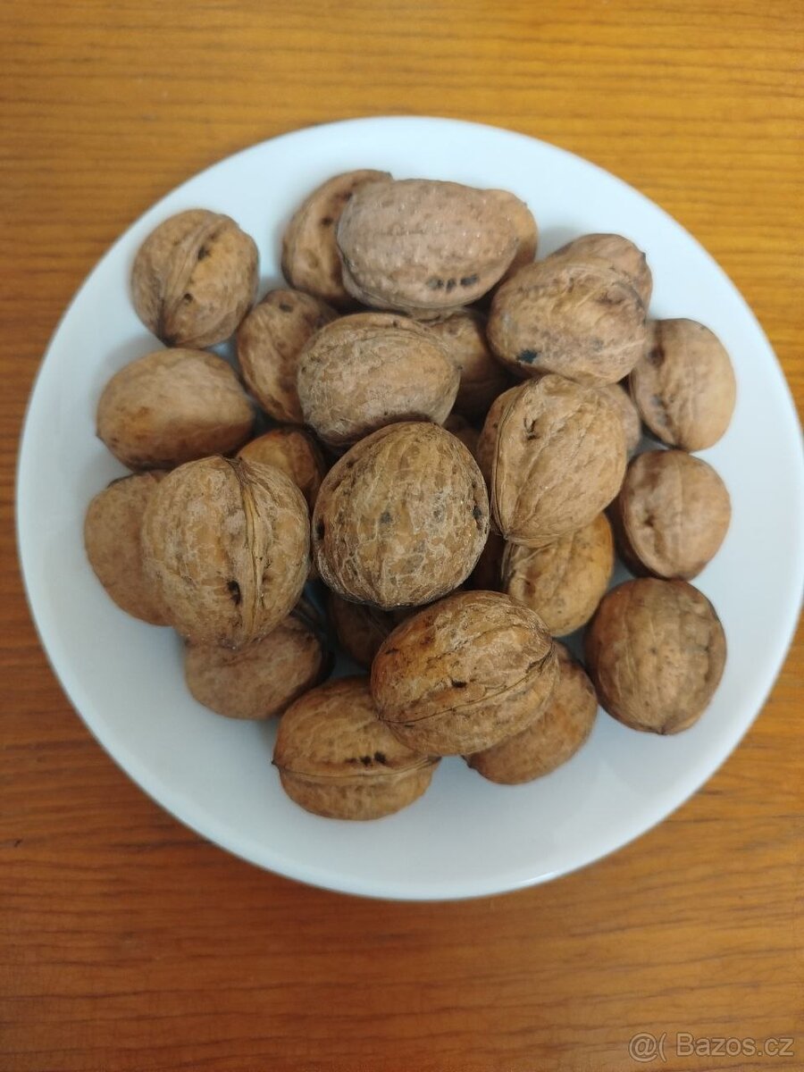 Vlašské ořechy - 2