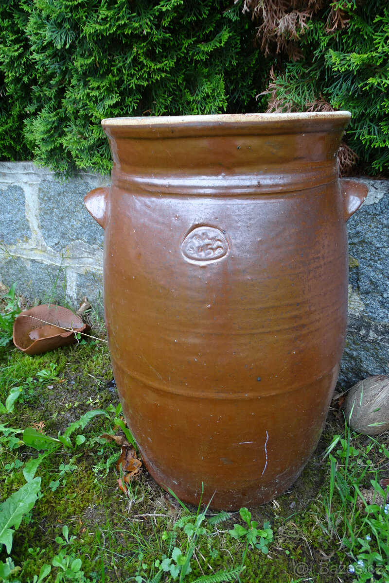 Sud na zelí veliký - 2
