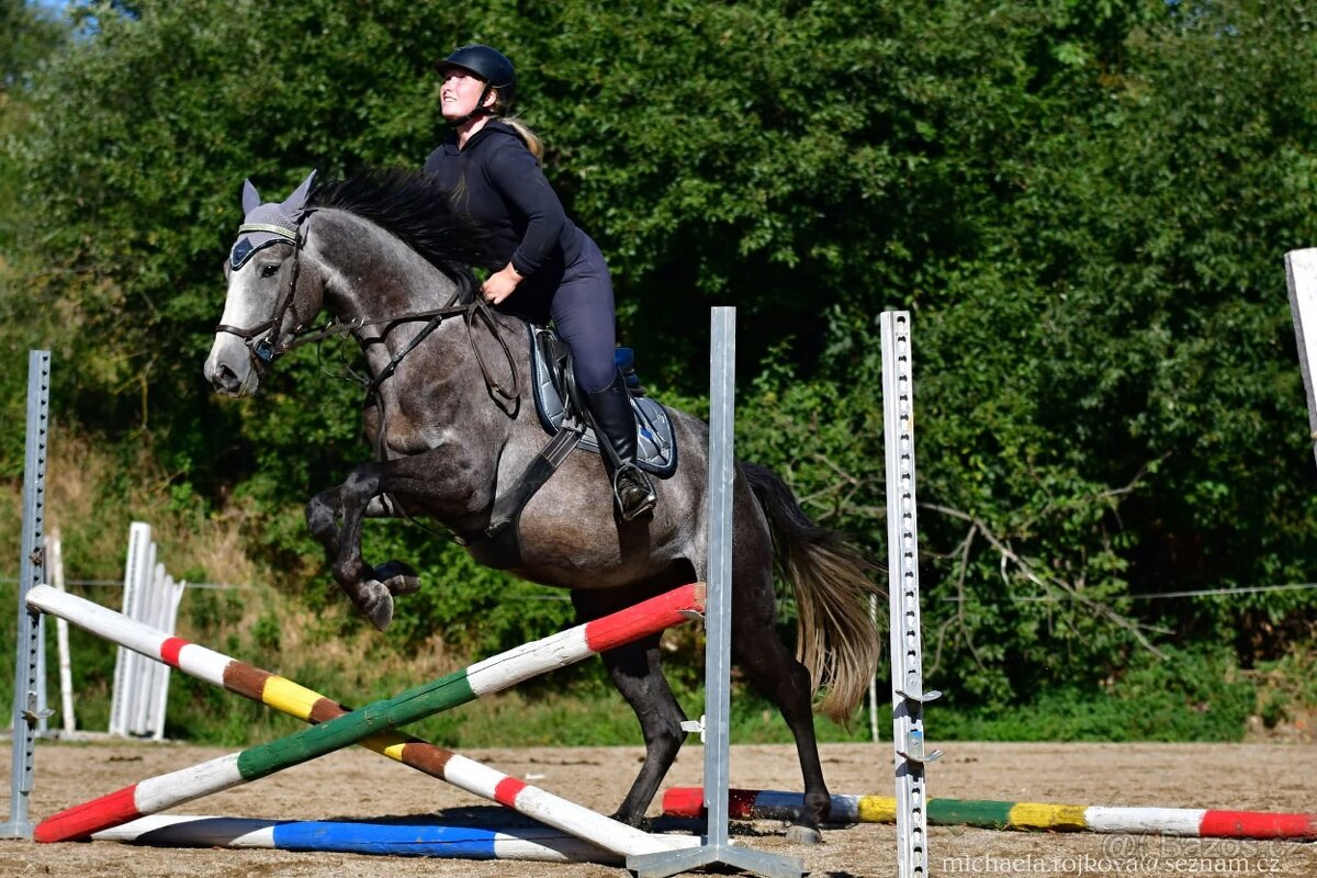 Hodný valach ČT - 2