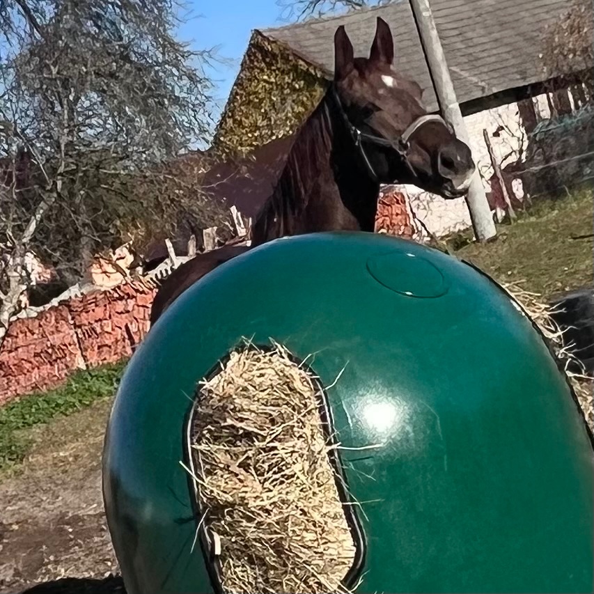 Krmný zvon pašík pro koně – nový, univerzální, regulovatel - 2