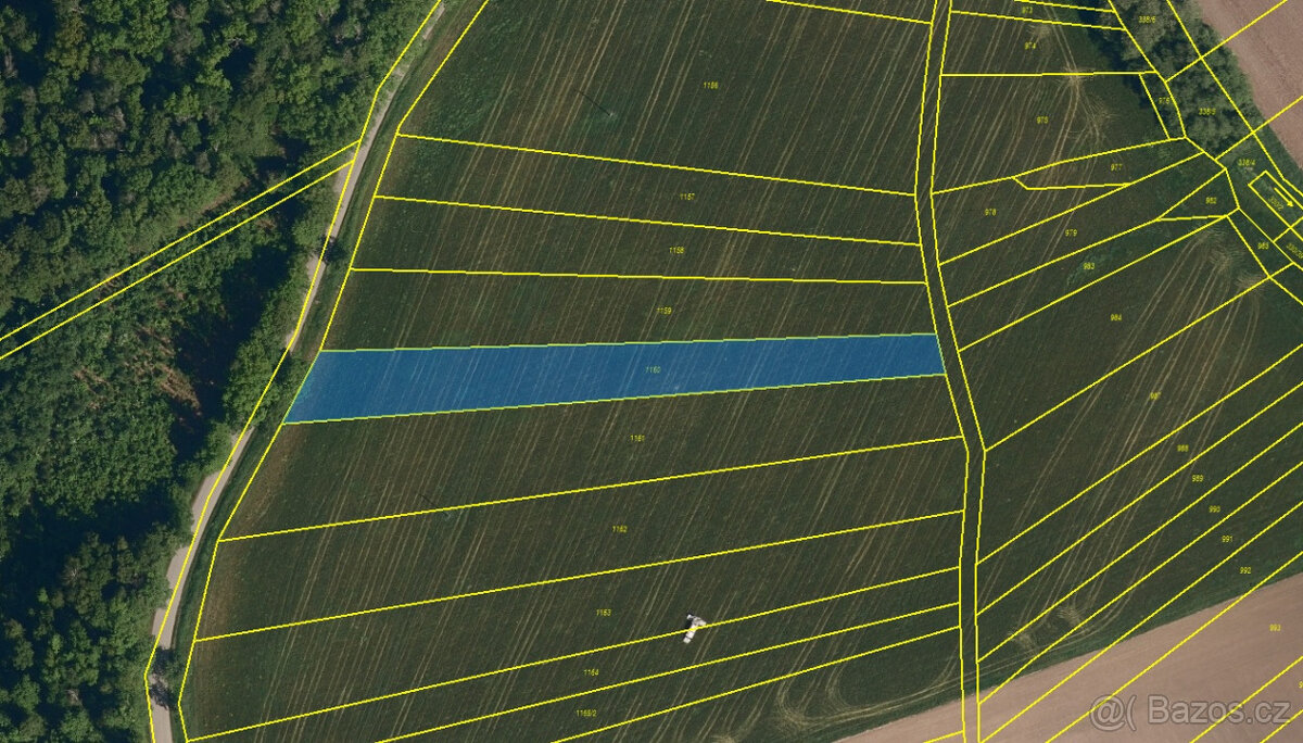 Prodej podílu 1/4 pole 4.100 m2 k.ú. Malhotice, Rouské - 2