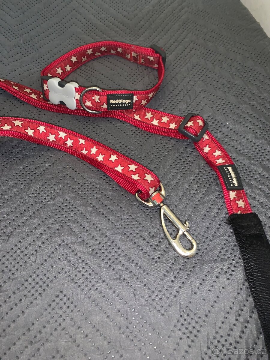 Vodítko + obojek - 2