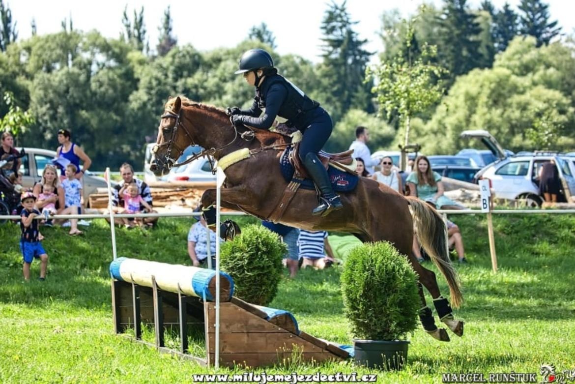 Pony B do sportu - 2