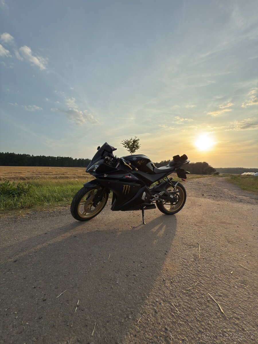 Yamaha YZF-R125 2010 - 2