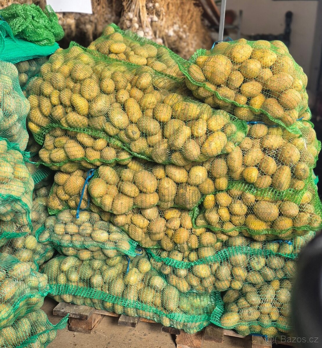 Prodám brambory - 2