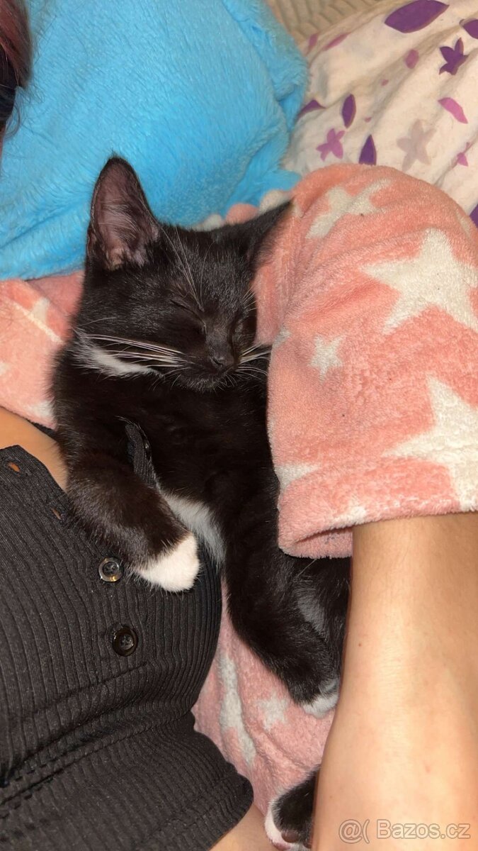 Daruji do dobrých rukou - 2