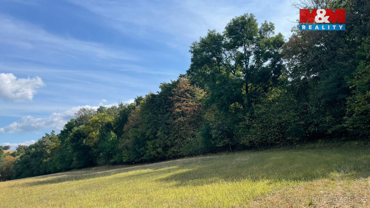 Prodej lesa, 845297 m², Kněždub - 2