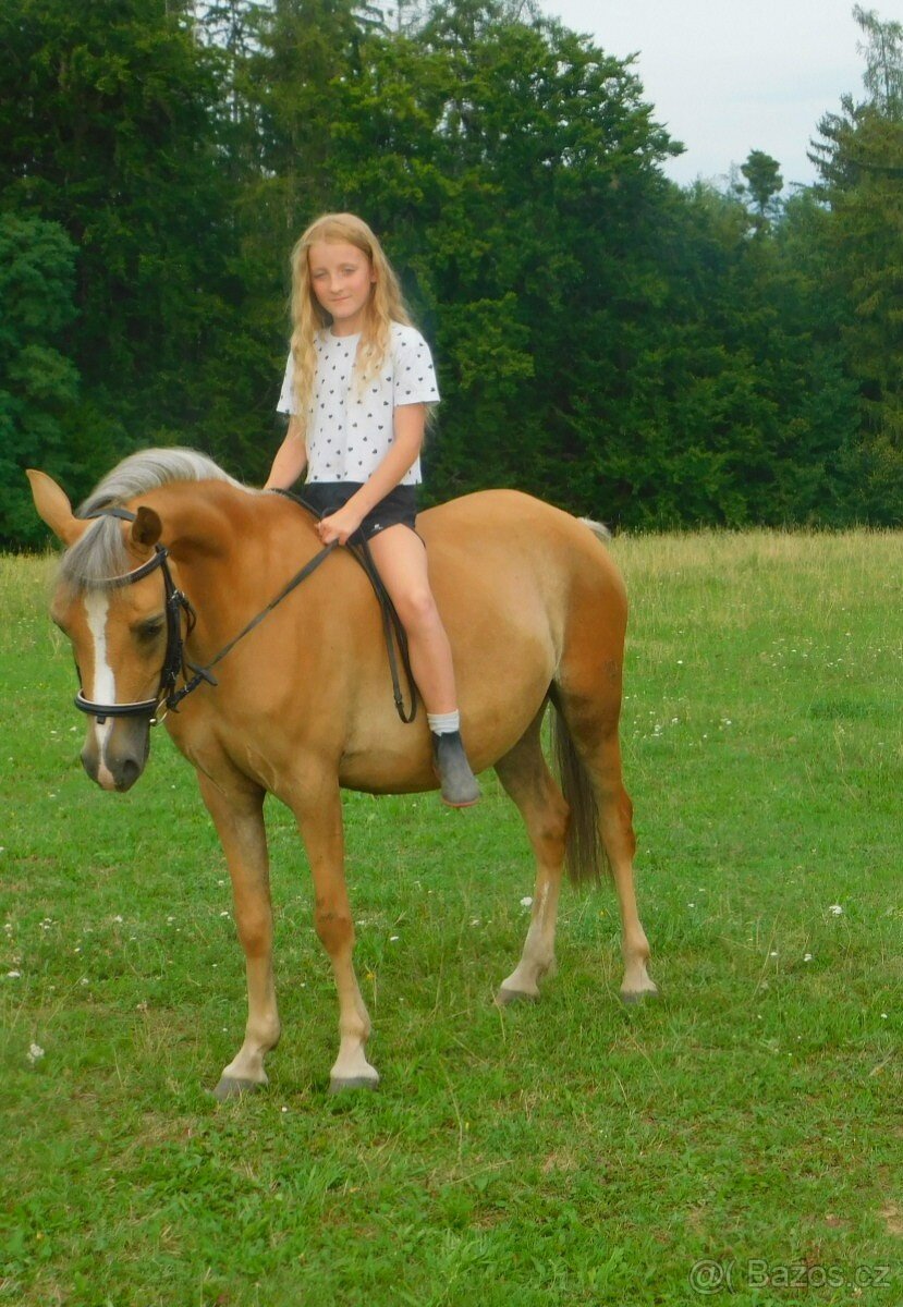 pony kobylka - 2
