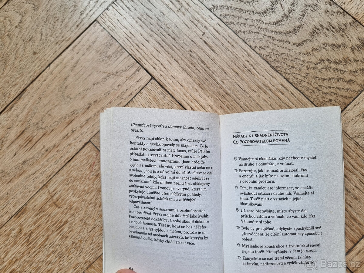 Kapesní enneagram - Helen Palmer - 2