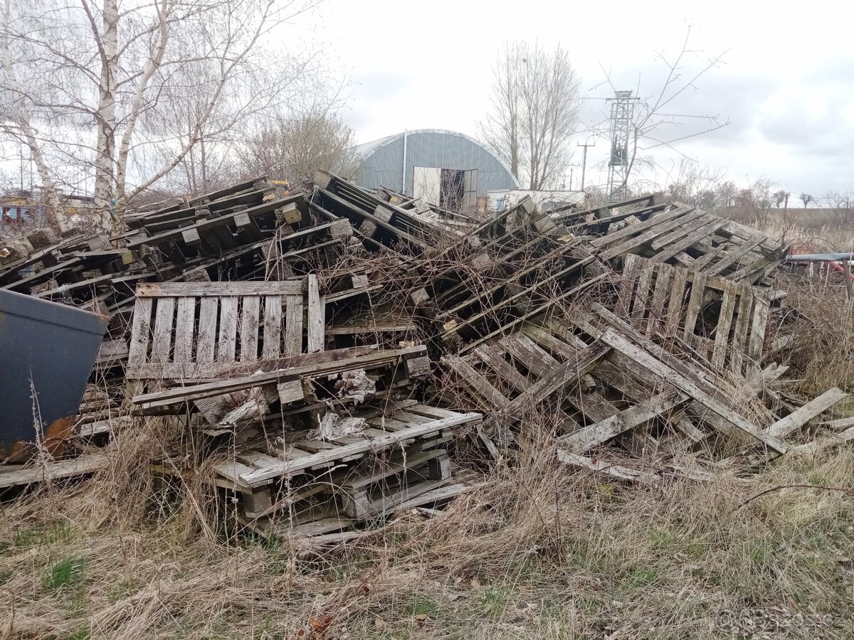Dřevo za odvoz - 2