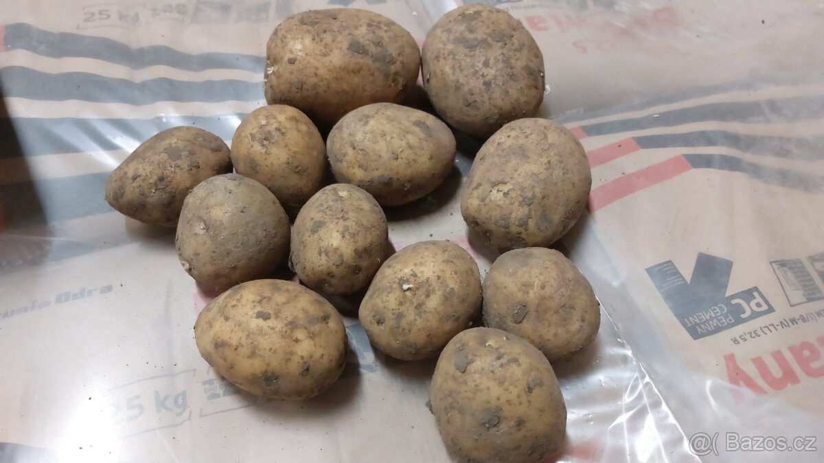 Brambory - 2