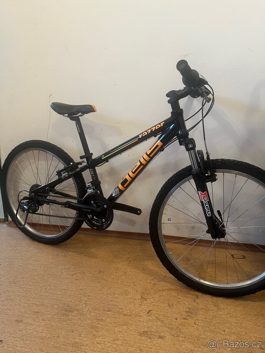 Deske horsk kolo Pells Dem Razer 24 - 2