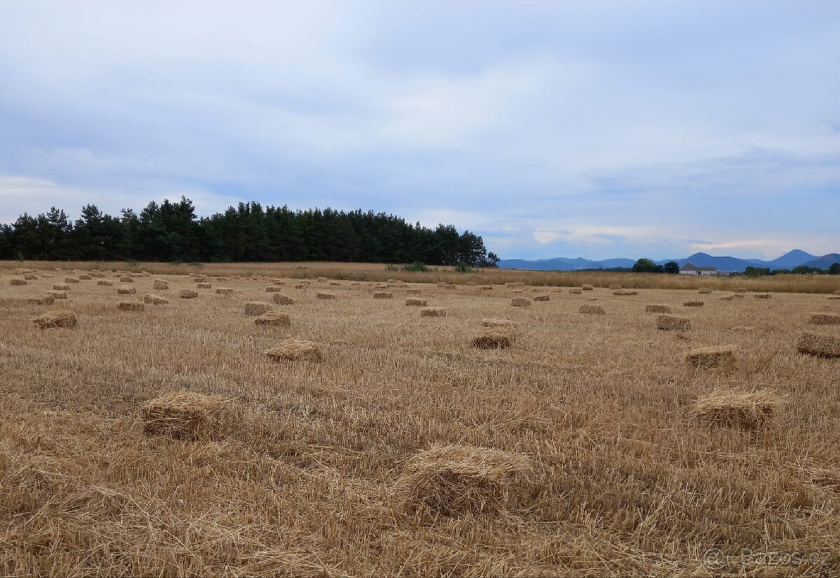 Sláma malé balíky - 2