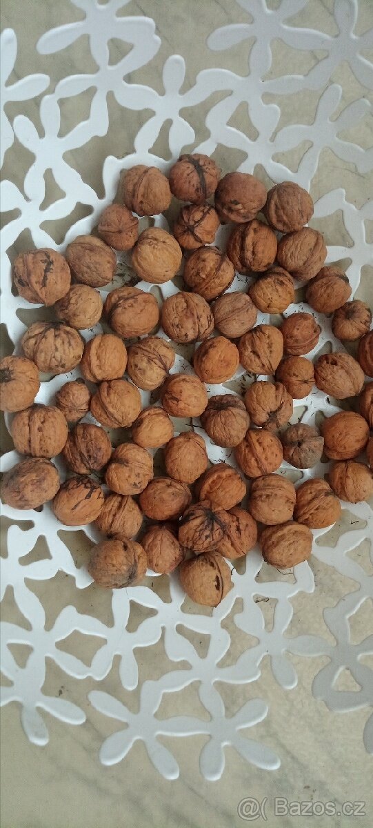 Vlašské ořechy neloupané - 2